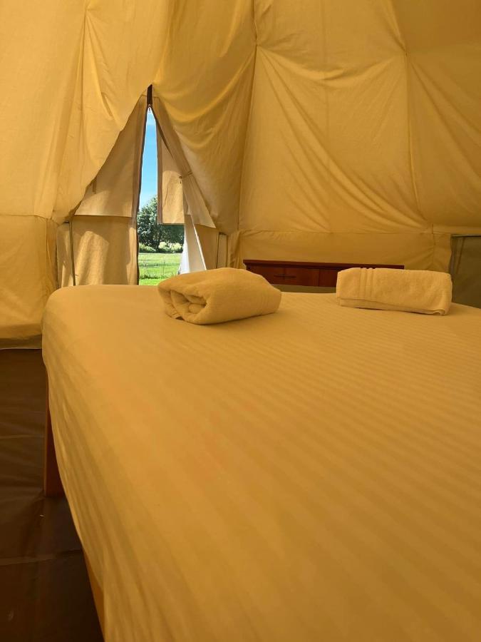 Luxury tent Tipi - Pengarreg