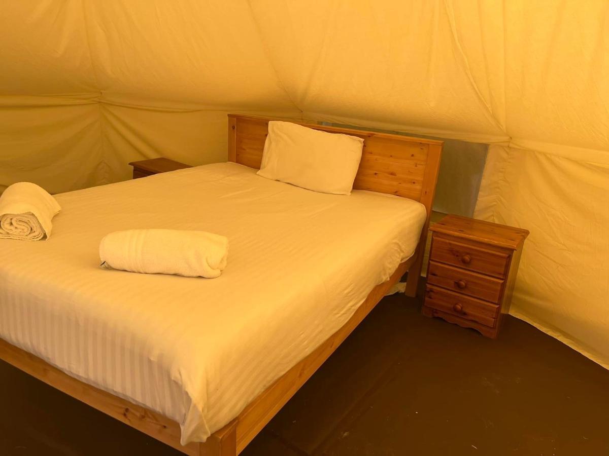 Luxury tent Tipi - Pengarreg